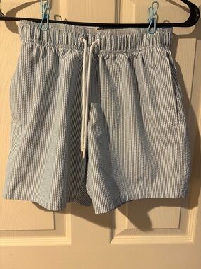 Hollister Blue & White Striped Swim Style Shorts Size S | 4-Way Stretch
